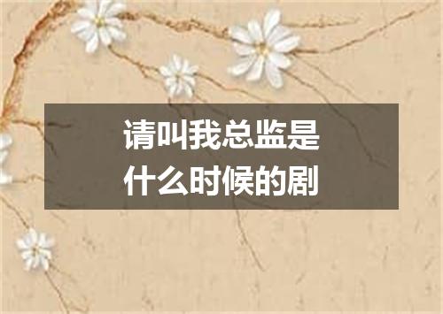 请叫我总监是什么时候的剧