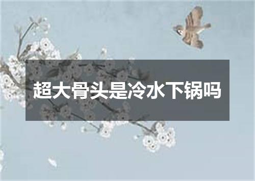 超大骨头是冷水下锅吗