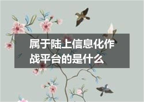 属于陆上信息化作战平台的是什么