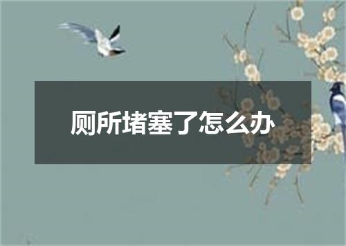 厕所堵塞了怎么办