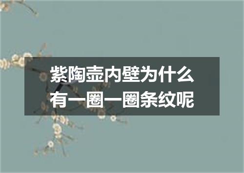 紫陶壶内壁为什么有一圈一圈条纹呢