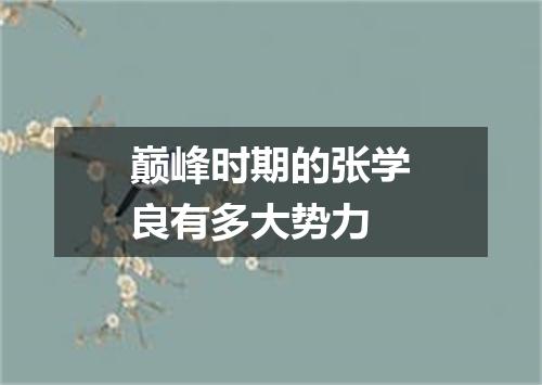 巅峰时期的张学良有多大势力