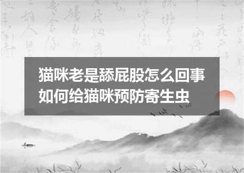 猫咪老是舔屁股怎么回事如何给猫咪预防寄生虫