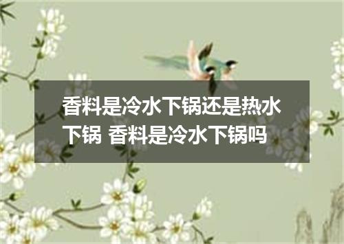 香料是冷水下锅还是热水下锅 香料是冷水下锅吗
