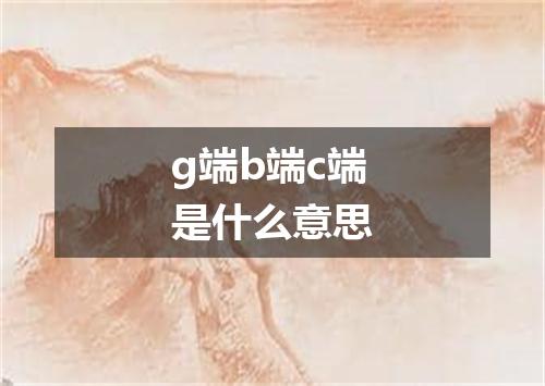 g端b端c端是什么意思