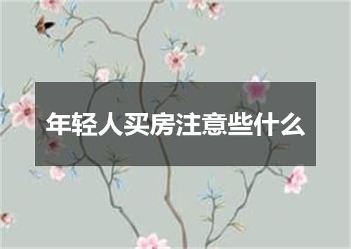 年轻人买房注意些什么