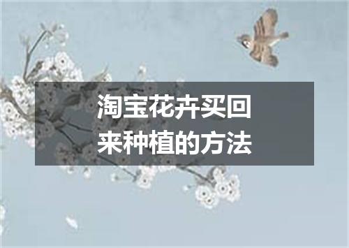 淘宝花卉买回来种植的方法
