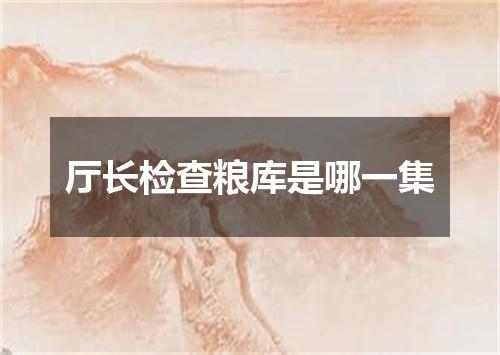 厅长检查粮库是哪一集