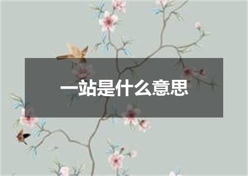 一站是什么意思