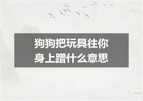狗狗把玩具往你身上蹭什么意思