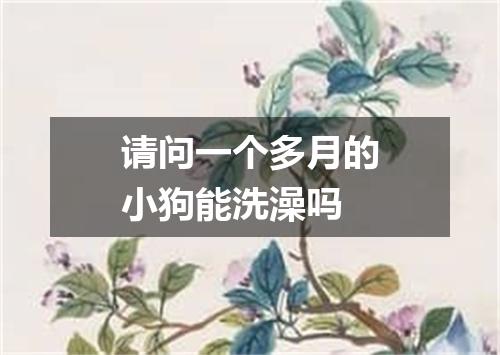 请问一个多月的小狗能洗澡吗