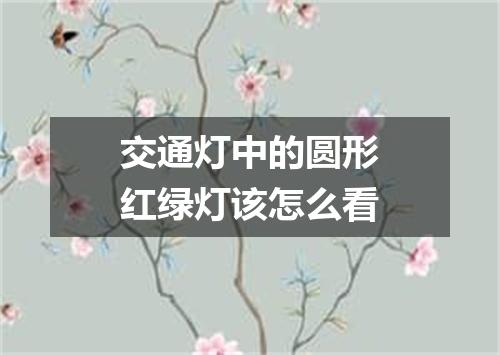 交通灯中的圆形红绿灯该怎么看