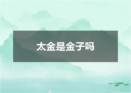 太金是金子吗