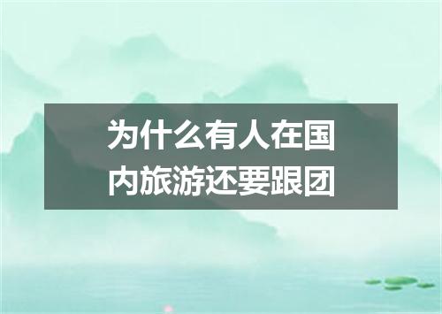 为什么有人在国内旅游还要跟团
