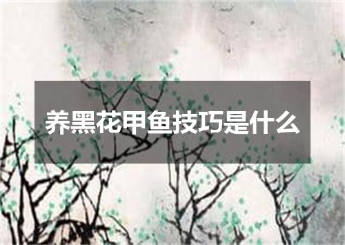 养黑花甲鱼技巧是什么