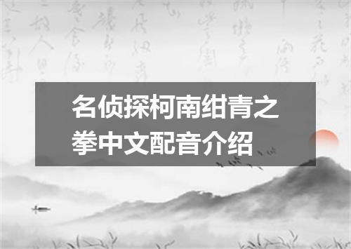 名侦探柯南绀青之拳中文配音介绍