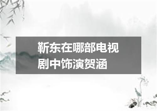 靳东在哪部电视剧中饰演贺涵