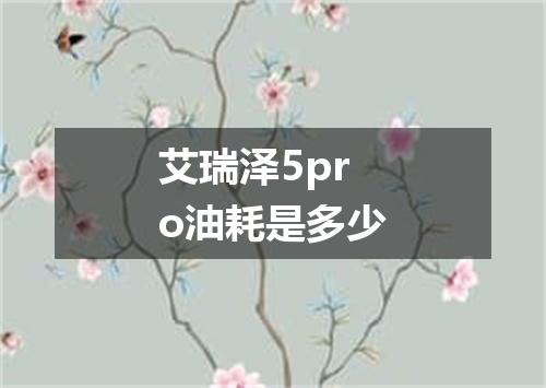 艾瑞泽5pro油耗是多少