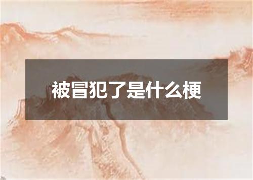 被冒犯了是什么梗