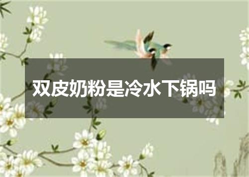 双皮奶粉是冷水下锅吗