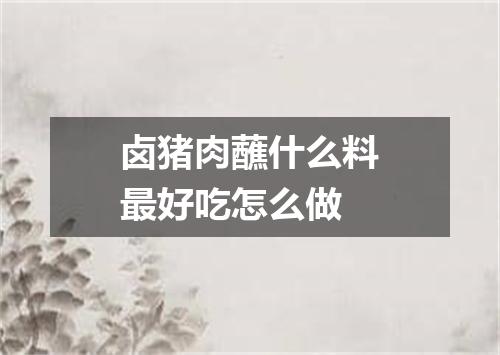 卤猪肉蘸什么料最好吃怎么做