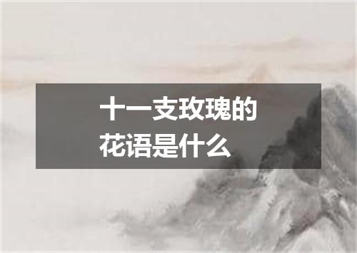 十一支玫瑰的花语是什么