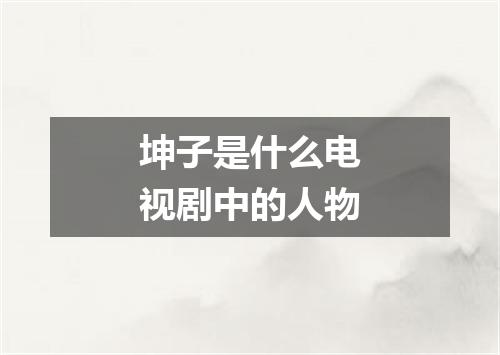 坤子是什么电视剧中的人物