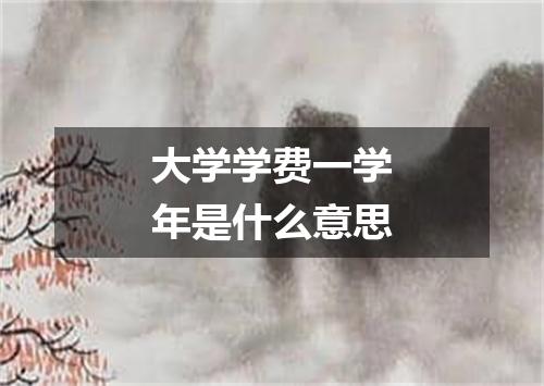 大学学费一学年是什么意思