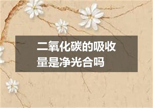 二氧化碳的吸收量是净光合吗