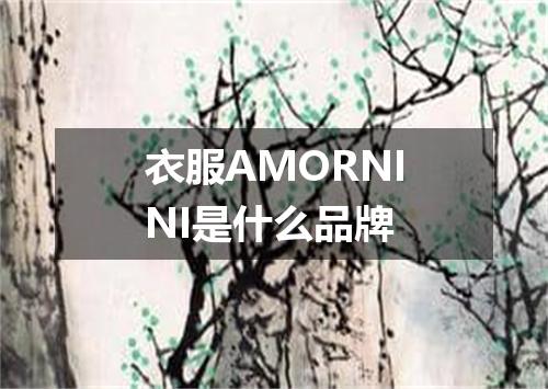 衣服AMORNINI是什么品牌