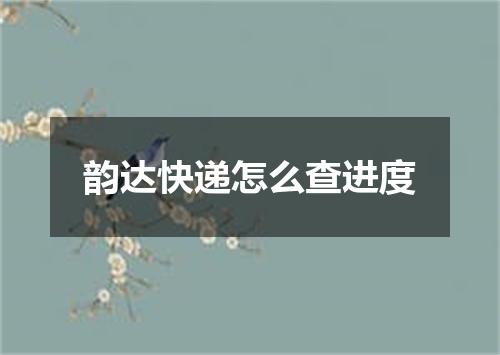韵达快递怎么查进度