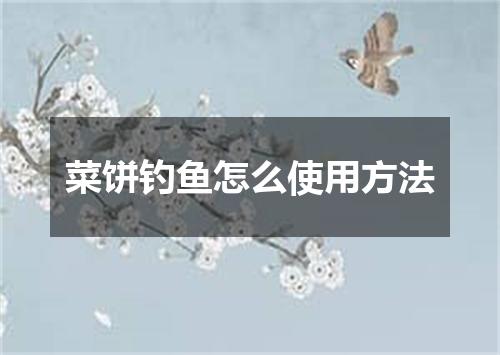 菜饼钓鱼怎么使用方法