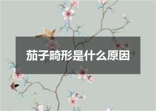 茄子畸形是什么原因