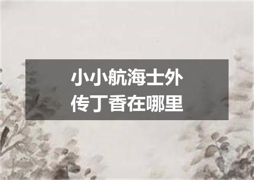 小小航海士外传丁香在哪里