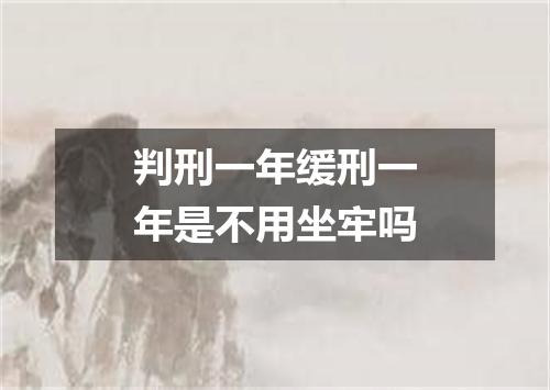 判刑一年缓刑一年是不用坐牢吗