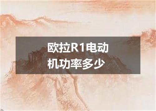 欧拉R1电动机功率多少