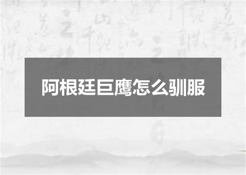 阿根廷巨鹰怎么驯服