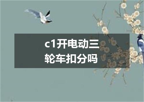 c1开电动三轮车扣分吗