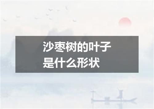 沙枣树的叶子是什么形状