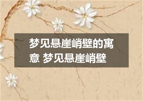 梦见悬崖峭壁的寓意 梦见悬崖峭壁