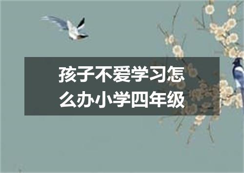 孩子不爱学习怎么办小学四年级