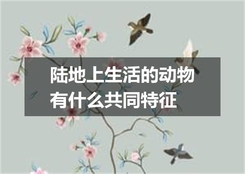 陆地上生活的动物有什么共同特征
