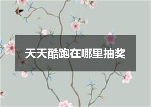 天天酷跑在哪里抽奖