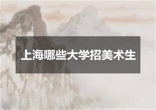 上海哪些大学招美术生