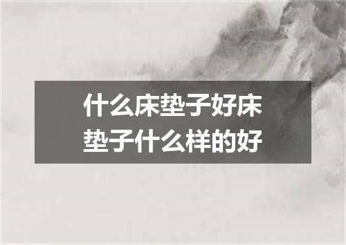 什么床垫子好床垫子什么样的好