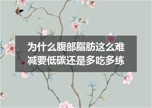 为什么腹部脂肪这么难减要低碳还是多吃多练