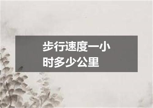 步行速度一小时多少公里