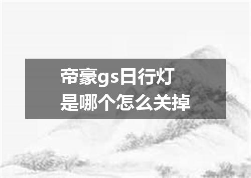 帝豪gs日行灯是哪个怎么关掉