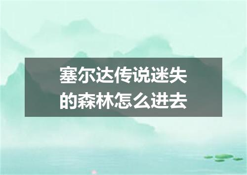 塞尔达传说迷失的森林怎么进去