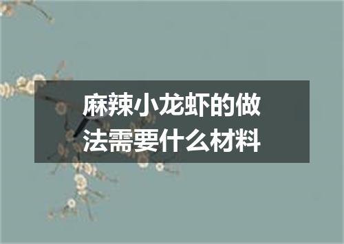 麻辣小龙虾的做法需要什么材料